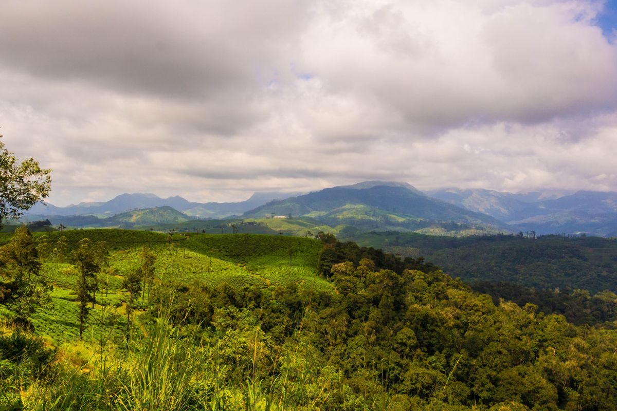 Thalanar View Point